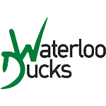 Waterloo Ducks